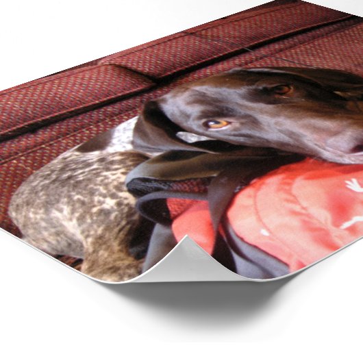 Quincy Poster (Ecke)