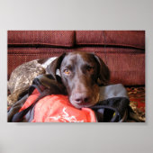 Quincy Poster (Vorne)