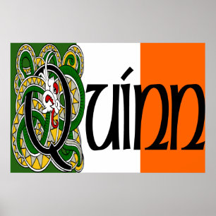 Quinn Celtic Dragon Print Poster