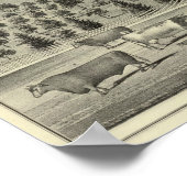 Quinn Residenz Poster (Ecke)