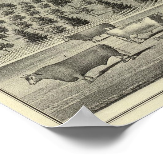 Quinn Residenz Poster (Ecke)