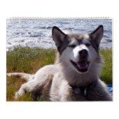 Quinns Kalender 2007 (Titelbild)