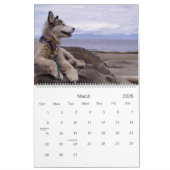 Quinns Kalender 2007 (Mär 2026)