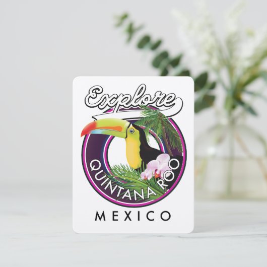 Quintana Roo holbox Strand mexico. (Stehend Vorderseite)