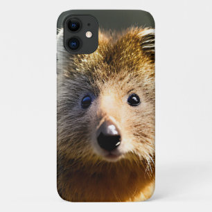 Quintin The Ginger Quokka, Case-Mate iPhone Hülle