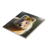 Quintin The Ginger Quokka, Keramik Tile Fliese (Seite)