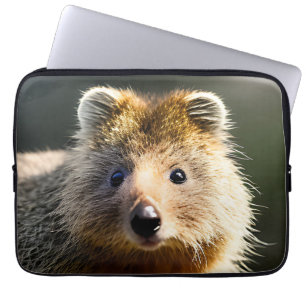 Quintin The Ginger Quokka, Laptop-Sieb Laptopschutzhülle