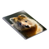 Quintin The Ginger Quokka, Notebook Notizblock (Rechte Seite)