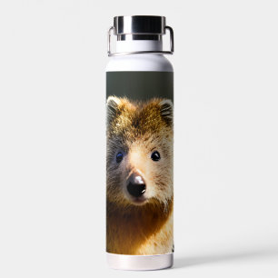 Quintin The Ginger Quokka, Trinkflasche