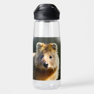 Quintin The Ginger Quokka, Trinkflasche