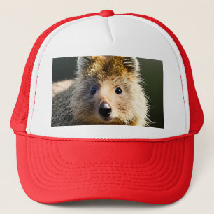 Quintin The Ginger Quokka, Truckers Hat Truckerkappe