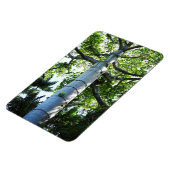 Quipo Tree Foto Magnet (Linke Seite)