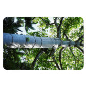 Quipo Tree Foto Magnet (Horizontal)