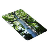 Quipo Tree Foto Magnet (Rechte Seite)