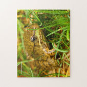 Quirkischer einseitiger Dialog mit einem kleinen g Puzzle (Vertikal)