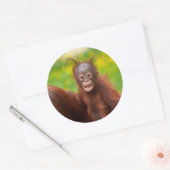 Quirky Charm of an Orangutan Baby Runder Aufkleber (Umschlag)
