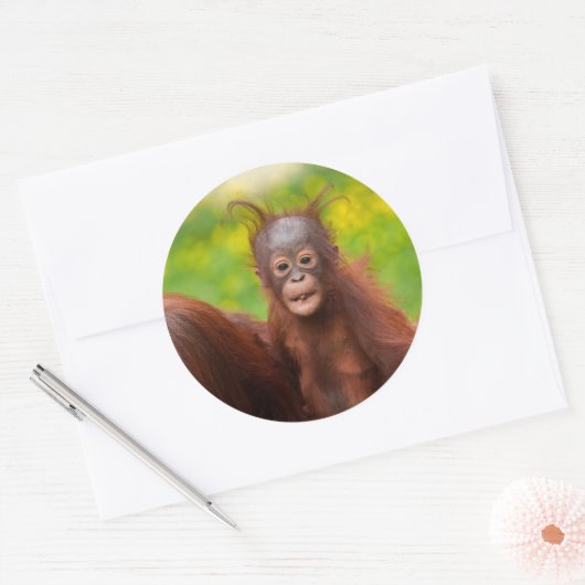 Quirky Charm of an Orangutan Baby Runder Aufkleber (Umschlag)