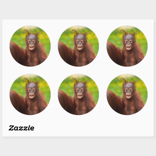 Quirky Charm of an Orangutan Baby Runder Aufkleber (Blatt)