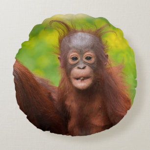 Quirky-Charme eines Orangutan-Babys Rundes Kissen