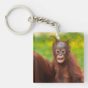 Quirky-Charme eines Orangutan-Babys Schlüsselanhänger