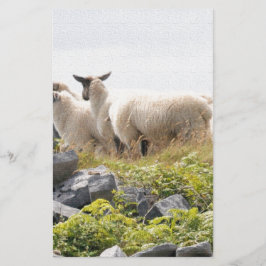 Quirky Designs - Schafe in einem Feld Briefpapier