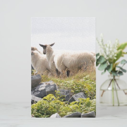 Quirky Designs - Schafe in einem Feld Briefpapier (Stehend Vorderseite)