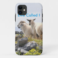 Quirky Designs - Schafe in einem Feld