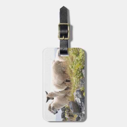 Quirky Designs - Schafe in einem Feld Gepäckanhänger (Vorderseite vertikal)