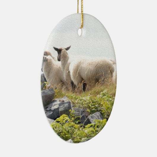Quirky Designs - Schafe in einem Feld Keramik Ornament (Rechts)