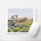 Quirky Designs - Schafe in einem Feld Mousepad (Mit Mouse)