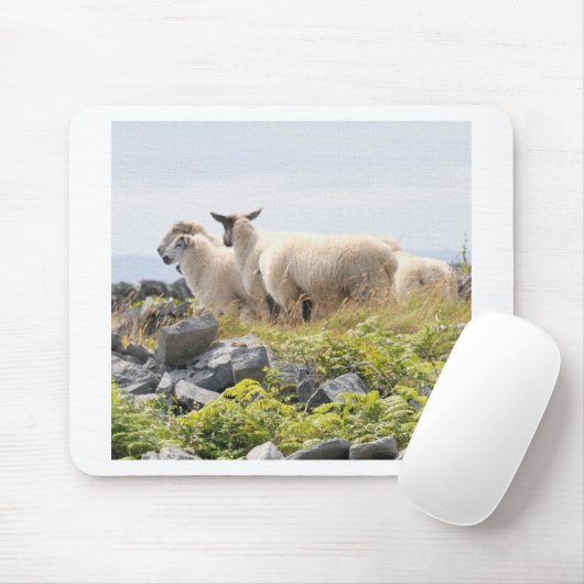 Quirky Designs - Schafe in einem Feld Mousepad (Mit Mouse)