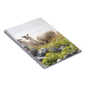 Quirky Designs - Schafe in einem Feld Notizblock (Rechte Seite)