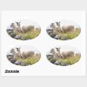 Quirky Designs - Schafe in einem Feld Ovaler Aufkleber (Blatt)