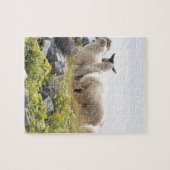 Quirky Designs - Schafe in einem Feld Puzzle (Horizontal)