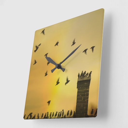 Quirky Little Birds Quadratische Wanduhr (Winkel)
