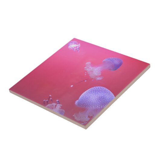 Quirky-Qualle im rosa Wasser Fliese (Seite)