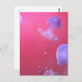 Quirky-Qualle im rosa Wasser Postkarte (Vorne/Hinten)