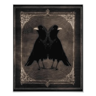 Quirky Twin Crows Fotodruck