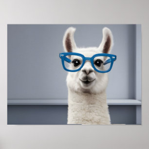 Quirky White Llama trägt blaue Brille Poster