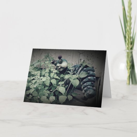 "Quite Contrary" - "Get Well Card" Karte (Vorderseite)