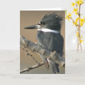 Quitte Kingfisher Karte (Gelbe Blume)