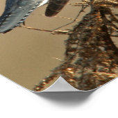 Quitte Kingfisher Poster (Ecke)