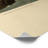 Quitte Kingfisher Poster (Ecke)