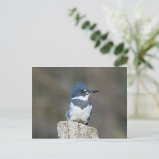 Quitte Kingfisher Postkarte (Stehend Vorderseite)