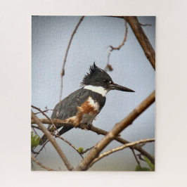Quitte Kingfisher Puzzle