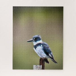 Quitte Kingfisher Puzzle