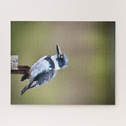 Quitte Kingfisher Puzzle (Horizontal)