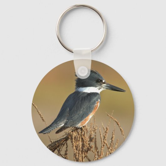 Quitte Kingfisher Schlüsselanhänger (Vorderseite)