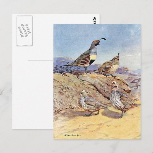 Quittung von Allan Brooks Postkarte (Vorne/Hinten)