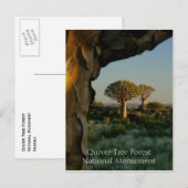 Quiver Tree Forest, Namibia Postcard Postkarte (Vorne/Hinten)